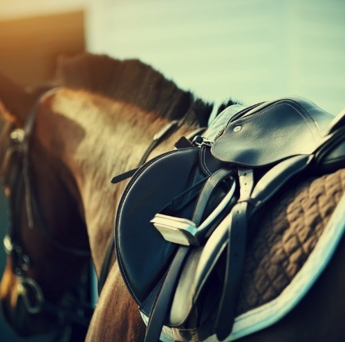 Saddle on back of horse