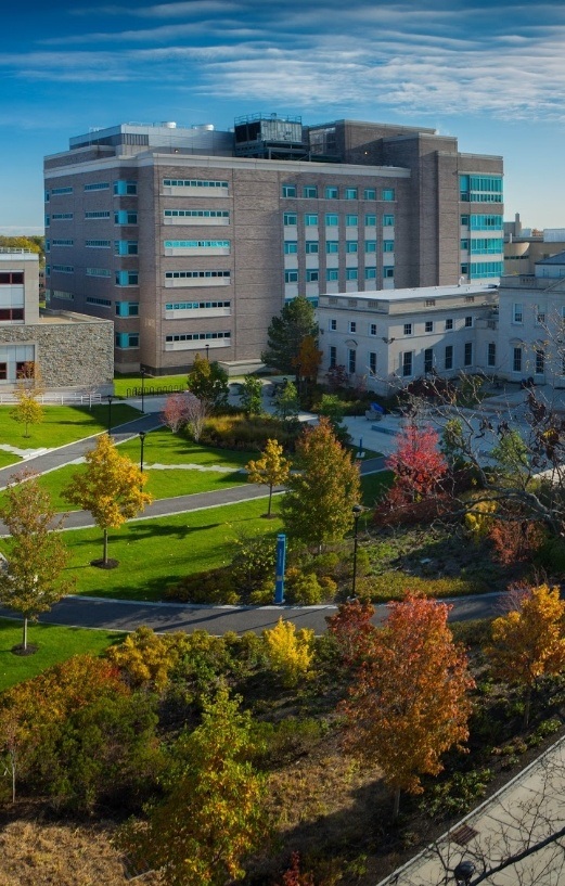 Aerial view of academic building next to a courtyard