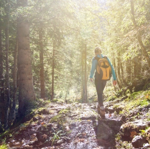 Person hiking in the woods on a sunny day